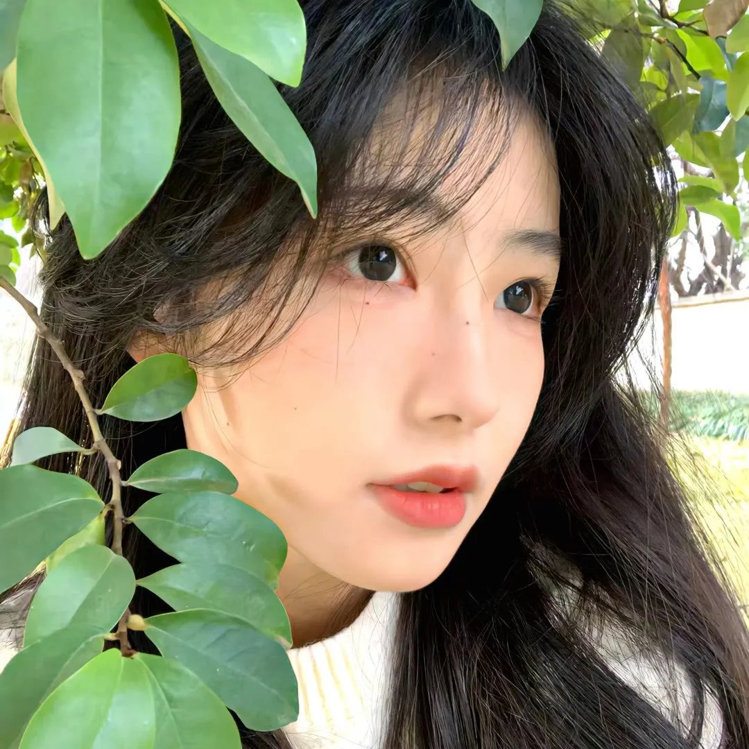 愤怒的蝴蝶