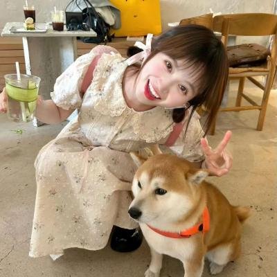 魔法少女小圆